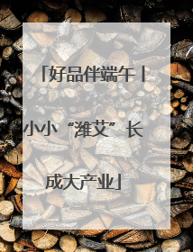 好品伴端午丨小小“潍艾”长成大产业